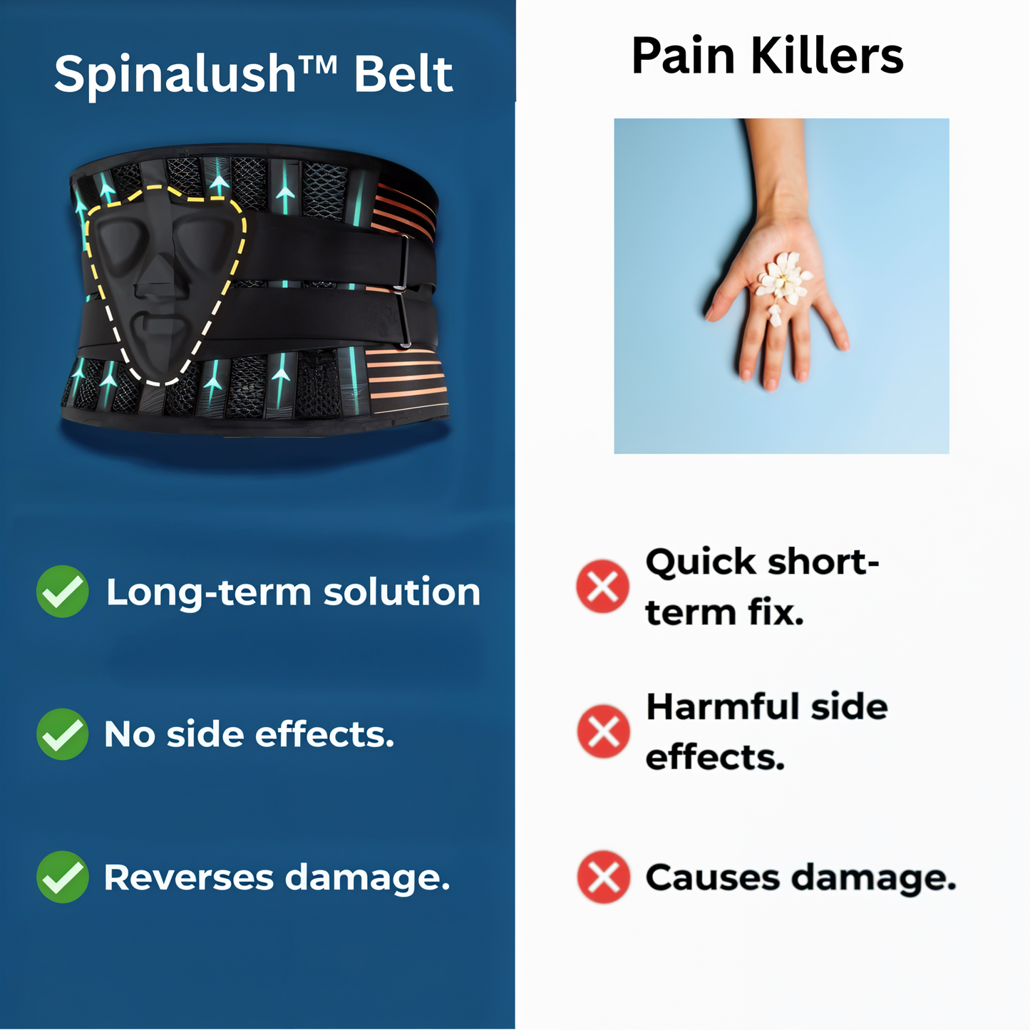 Spinalush™ Ergonomic Belt