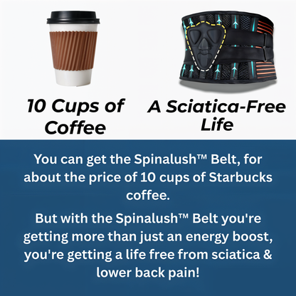 Spinalush™ Ergonomic Belt